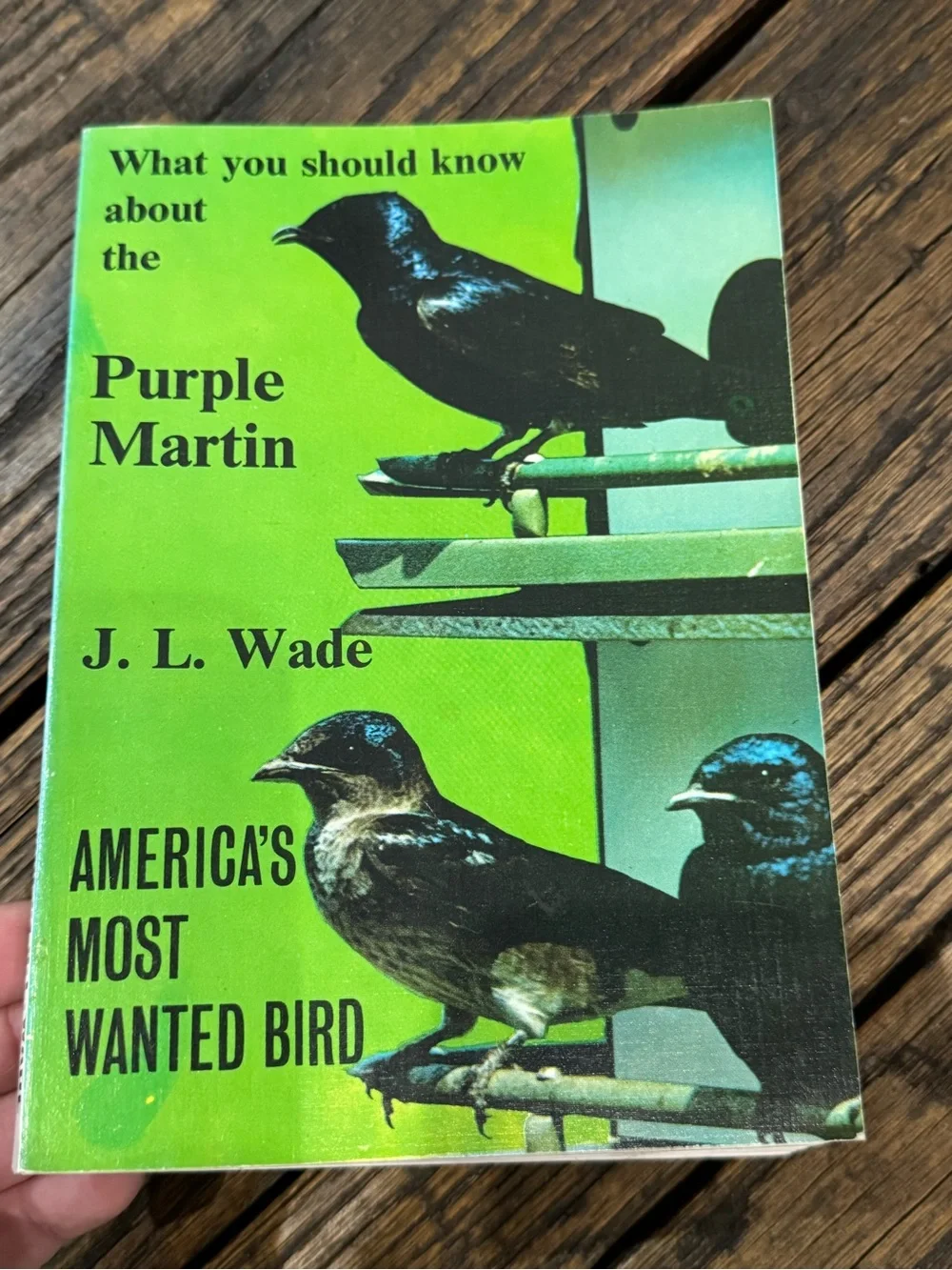 What you should know about the Purple Martin Book - JL Wade - Vintage 1991